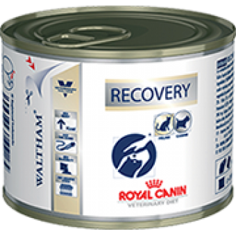 Lata Recovery Canina/Felina Royal Canin - 195 g Lata Recovery Canina/Felina Royal Canin - 195 g
